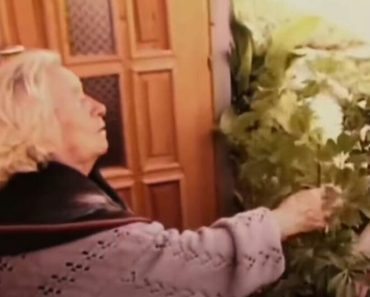 JEZIVO PROROČANSTVO BABA VANGE ZA 2023. GODINU: Iznela je ZASTRAŠUJUĆA PREDVIĐANJA, da li se OVO već OSTVARUJE? JEZIVO PROROČANSTVO BABA VANGE ZA 2023. GODINU: Iznela je ZASTRAŠUJUĆA PREDVIĐANJA, da li se OVO već OSTVARUJE?