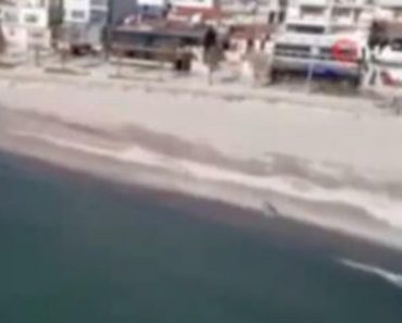 ŠTA SE DEŠAVA SA MOREM KOD ISTANBULA? Stanovnici ZABRINUTI, sa strepnjom dele SNIMKE (VIDEO)