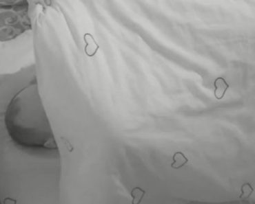 ANĐELA NAVALILA NA ZVEZDANA! Mlada frizerka se zavukla pod jorgan i pokazala šta zna! (VIDEO+FOTO) ANĐELA NAVALILA NA ZVEZDANA! Mlada frizerka se zavukla pod jorgan i pokazala šta zna! (VIDEO+FOTO)