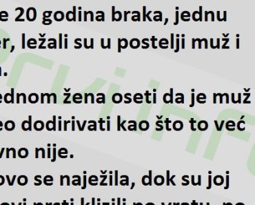 Vic DANA : MIlovanje Vic DANA : MIlovanje