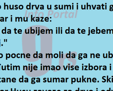 Vic Dana : Uvati ga pa ga….