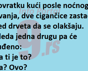 Vic Dana : Sta ti je to …