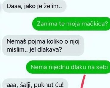 PITAO ME DA MU POŠALJEM SLIKU SVOJE MAČKICE, A KAD JE VIDIO FOTKU ODMAH SE ONESVESTIO