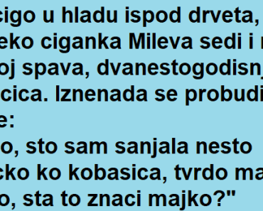 Vic Dana : Sta znaci san ….. Vic Dana : Sta znaci san …..