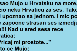 Vic Dana : Sad ces da vidis….