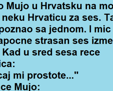 Vic Dana : Sad ces da vidis…. Vic Dana : Sad ces da vidis….