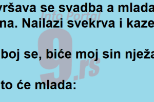 VIC Dana : Snajka zna znanje ….