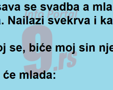 VIC Dana : Snajka zna znanje …. VIC Dana : Snajka zna znanje ….