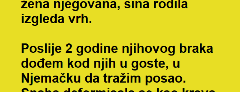 Mislio kako se BRAT loše OŽENIO ali posle MESEC dana kod njih OSTAO u ŠOKU! Sada se GRDNO kaje!