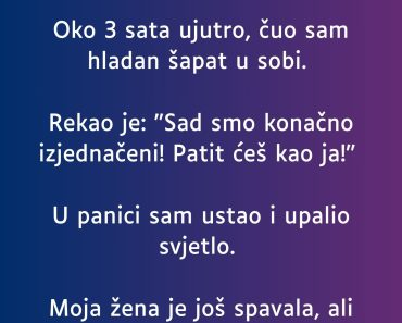 ODSELI SU u motelu a onda je USLEDIO jeziv DOGADJAJ …. (Nije za one sa slabim srcem)