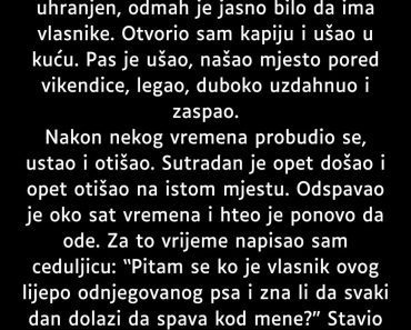 “Proveo sam deset dana u vikendici…”