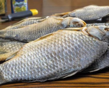 Ovo je najštetnija riba koja se prodaje u radnjama! Ljudi je masovno kupuju, a ne znaju koliko može biti opasna Ovo je najštetnija riba koja se prodaje u radnjama! Ljudi je masovno kupuju, a ne znaju koliko može biti opasna