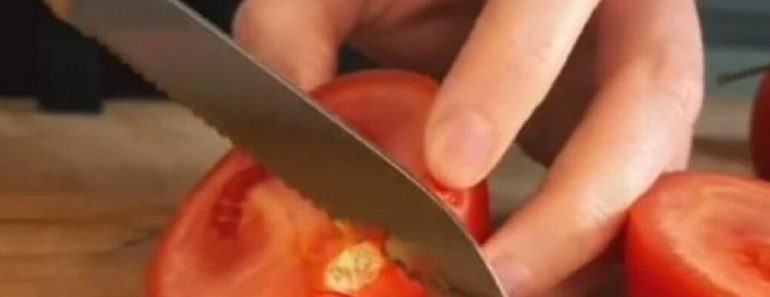Evo kako prepoznati paradajz prepun otrova i pesticida: Samo obratite pažnju na ovaj deo