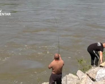 Svilajčani za 1. maj izvukli pravu zver iz Morave: Čim su ga ugledali, uradili neverovatnu stvar, gledajte (VIDEO) Svilajčani za 1. maj izvukli pravu zver iz Morave: Čim su ga ugledali, uradili neverovatnu stvar, gledajte (VIDEO)