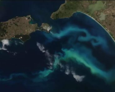 Pazite šta je NASA snimila u okeanu! Ovo se krije u dubokim vodama – šta li je sa onim što ne znamo?! (FOTO) Pazite šta je NASA snimila u okeanu! Ovo se krije u dubokim vodama – šta li je sa onim što ne znamo?! (FOTO)