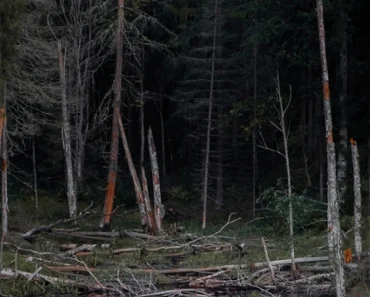 MEŠTANI SELA KOD ŠAPCA NA NOGAMA! Stari strah se vratio, nakon kiše u blatu zatekli nešto što ih je sledilo (FOTO)