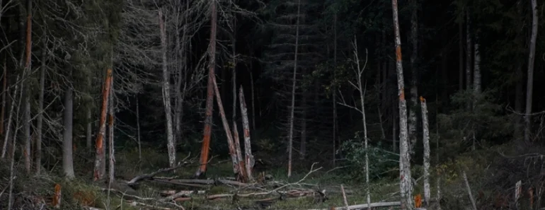 MEŠTANI SELA KOD ŠAPCA NA NOGAMA! Stari strah se vratio, nakon kiše u blatu zatekli nešto što ih je sledilo (FOTO)