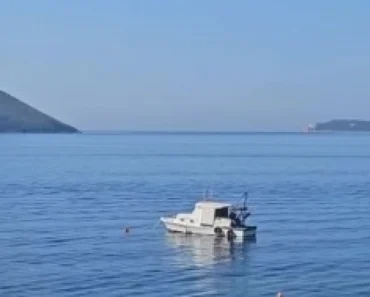 Drama na Jadranu: Turisti u šoku – pogledajte šta se pojavilo između jahti (FOTO) Drama na Jadranu: Turisti u šoku – pogledajte šta se pojavilo između jahti (FOTO)