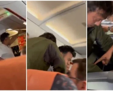 Sedi dole, pi*ka ti materina! Srbin u avionu savladao teroristu – njegovom podvigu se divi ceo svet (VIDEO) Sedi dole, pi*ka ti materina! Srbin u avionu savladao teroristu – njegovom podvigu se divi ceo svet (VIDEO)