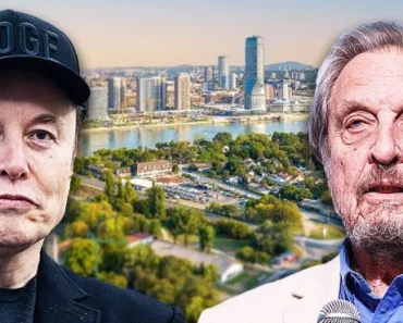 Stižu dolari: Mask ulaže novac u Srbiju! KAD VIDITE ŠTA GRADI ŠOKIRAĆETE SE!