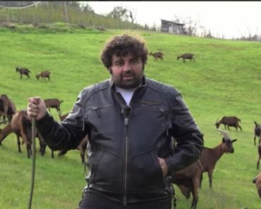 Da li znate da je žena Branka Jankovića ova poznata glumica? Napustili su Beograd i ovde stvorili pravi raj Da li znate da je žena Branka Jankovića ova poznata glumica? Napustili su Beograd i ovde stvorili pravi raj