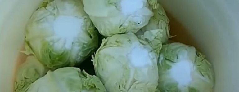 OVAKO RUSI KISELE KUPUS Ukusniji je OD NAŠEG zbog jednog POVRĆA: Recept će vas TOTALNO RASPAMETITI!