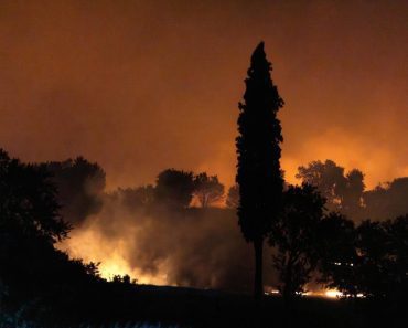 Albanac je čuo krike u požaru, potrčao je a tamo je bila Srpkinja: Zbog onoga što je uradio, obe zemlje se podigle Albanac je čuo krike u požaru, potrčao je a tamo je bila Srpkinja: Zbog onoga što je uradio, obe zemlje se podigle