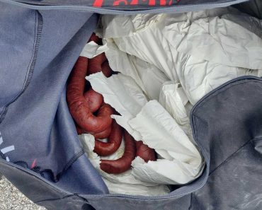 ŠTA SE OVO DESILO U VRANJU?! Carinici zanemeli kada su otvorili autobus – ljudi, ovo nije realno, kakva zaplena! ŠTA SE OVO DESILO U VRANJU?! Carinici zanemeli kada su otvorili autobus – ljudi, ovo nije realno, kakva zaplena!