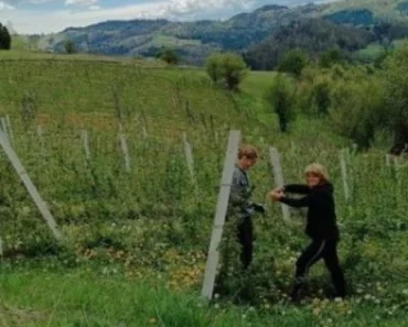 Dnevnica je 10.000 dinara, a gazde ne mogu da nađu radnike ni na mapi