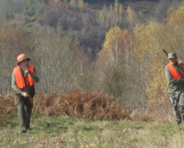 LOVAC SLUČAJNO UBIO NAJBOLJEG PRIJATELJA, MISLIO DA JE DIVLJA SVINJA: Detalji tragedije na Kamenoj Gori LOVAC SLUČAJNO UBIO NAJBOLJEG PRIJATELJA, MISLIO DA JE DIVLJA SVINJA: Detalji tragedije na Kamenoj Gori