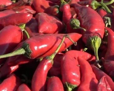 Crvena paprika hitno povučena iz prodaje: Sadrži otrov – Evo gde se prodaje Crvena paprika hitno povučena iz prodaje: Sadrži otrov – Evo gde se prodaje