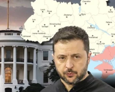 Šok obrt: Putin se ovome nije nadao – Zelenski izašao sa planom od kojeg se diže kosa na glavi Šok obrt: Putin se ovome nije nadao – Zelenski izašao sa planom od kojeg se diže kosa na glavi