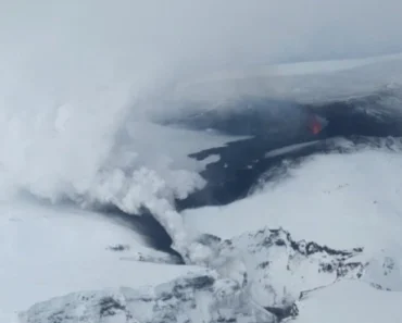 “Ovako nešto nikada nisam video!” Iznenadno otkriće na dalekom ostrvu zapanjilo svet, prvi put u istoriji… “Ovako nešto nikada nisam video!” Iznenadno otkriće na dalekom ostrvu zapanjilo svet, prvi put u istoriji…