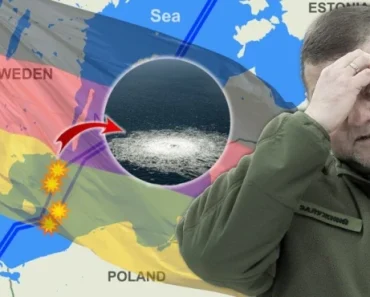 Auuu… Nemci otkrili jezive podatke o sabotaži Severnog toka – To se sve desilo pod njegovim direktnim nadzorom Auuu… Nemci otkrili jezive podatke o sabotaži Severnog toka – To se sve desilo pod njegovim direktnim nadzorom