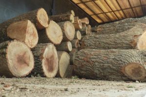 Stiglo bitno obaveštenje za sve koji se greju na drva! Ovo se od sada STROGO zabranjuje, pripazite!