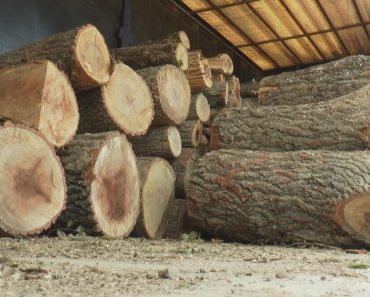 Stiglo bitno obaveštenje za sve koji se greju na drva! Ovo se od sada STROGO zabranjuje, pripazite!