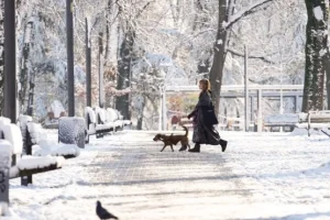 Zabeleće se gradovi: Sneg stiže ranije nego što mislite – Ovog datuma ima da veje i u Beogradu