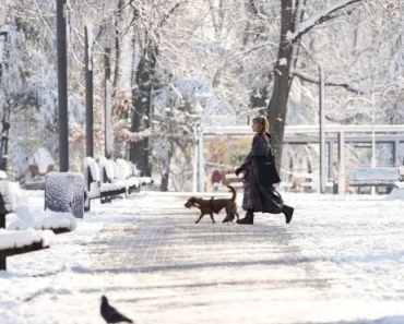 Zabeleće se gradovi: Sneg stiže ranije nego što mislite – Ovog datuma ima da veje i u Beogradu Zabeleće se gradovi: Sneg stiže ranije nego što mislite – Ovog datuma ima da veje i u Beogradu