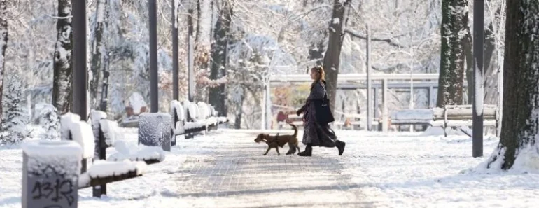 Zabeleće se gradovi: Sneg stiže ranije nego što mislite – Ovog datuma ima da veje i u Beogradu