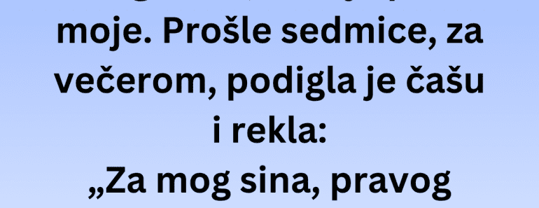 Svekrvina zdravica na večeri pretvorila se u horor. Nisam mogla da verujem šta je rekla sledeće…
