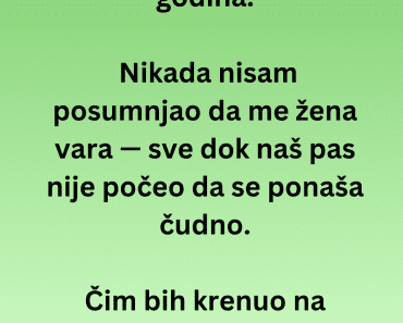 Kako sam otkrio da me žena vara — zahvaljujući psu Kako sam otkrio da me žena vara — zahvaljujući psu