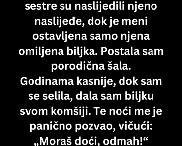 Baka je umrla i nije mi ostavila ništa ali godinama kasnije je usledio …. Baka je umrla i nije mi ostavila ništa ali godinama kasnije je usledio ….