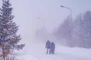 STIŽE NAM SUROVA ZIMA, SPREMA SE NOVA TURA SNEGA Kidanje polarnog vrtloga vraća HAOS: Jedan od modela najavljuje…
