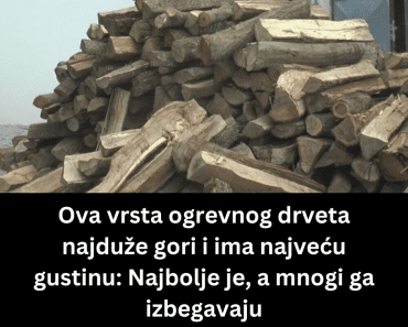 Ova vrsta ogrevnog drveta najduže gori i ima najveću gustinu: Najbolje je, a mnogi ga izbegavaju Ova vrsta ogrevnog drveta najduže gori i ima najveću gustinu: Najbolje je, a mnogi ga izbegavaju