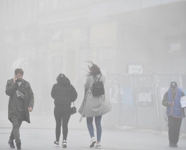 BEOGRAĐANE JE DANAS POKOSILA VEOMA OPASNA POJAVA Ljudi se masovno žale na 2 SIMPTOMA