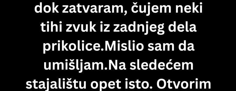 Na granici je sve bilo čisto, ali zvuk iz prikolice mi je sledio krv u žilama…