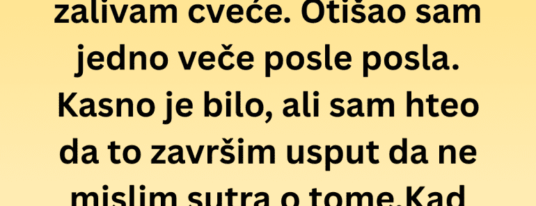 Brat mi je dao ključ stana, a unutra me čekao najveći šok u životu