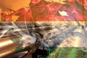 Udarna vest za Srbiju iz Mađarske! Tiče se energenata