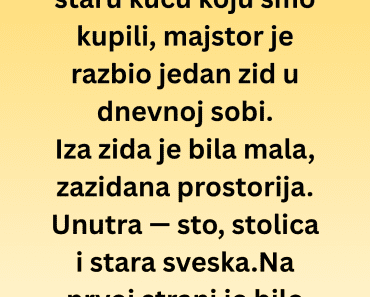 ZAZIDANA PROSTORIJA KRILA JE TAJNU! Kada sam otvorila svesku — sledila sam se!