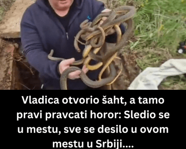 Vladica otvorio šaht, a tamo pravi pravcati horor: Sledio se u mestu, sve se desilo u ovom Mestu u Srbiji….
